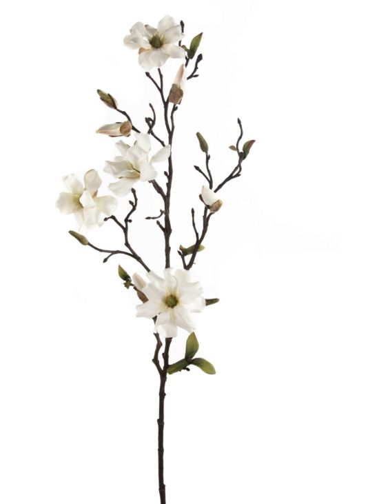 Euroflor | 81167.01 MAGNOLIA WILD crema 75cm Euroflor