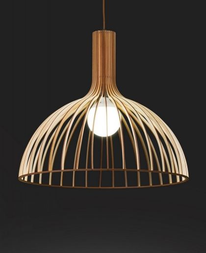 �������� ����� | 1013 ���� ������ �������� �����