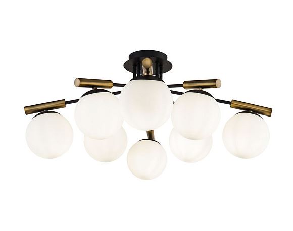 Freya | FR5011CL-08B ������ Paolina Freya