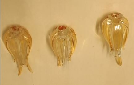Leucos | ������ Zashi  ������  ���� Leucos