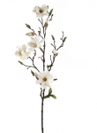Euroflor | 81167.01 MAGNOLIA WILD crema 75cm Euroflor