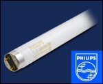 PHILIPS     | G13  L36/827  TL-D   Philips