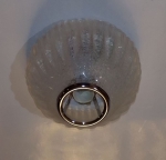 | BOLLE PL ���������� Copyright