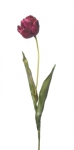 Euroflor | 54081.05 purpura Double Tulip H75cm Euroflor
