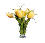 Euroflor | 63686.03 amarillo Tulip arr mater Euroflor
